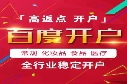 行业报告：专业SEM托管的成功实践与挑战